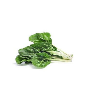 LECIBRAN INSTANTaNEO 380gr. biolecibran LECIBRAN INSTANTaNEO 380gr. biolecibran