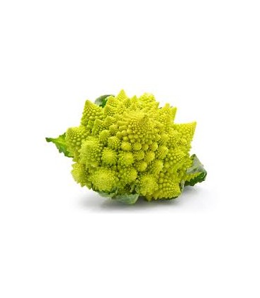 ESPAGUETI BLANCO 500gr. celnat ESPAGUETI BLANCO 500gr. celnat