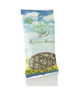 MENTA PIPERITA HOJA BOLSA 25gr. herbes moli