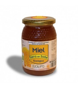 MIEL EUCALIPTO 500gr. sierra del sorbe
