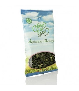 ORTIGA VERDE BOLSA 25gr. herbes moli