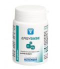 ERGYBASE nutergia