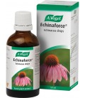 ECHINAFORCE GOTAS 50ml. vogel