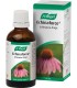 ECHINAFORCE GOTAS 50ml. vogel