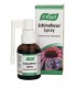 ECHINAFORCE SPRAY 30ml. vogel