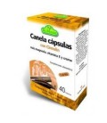 CINNULIN (canela) 40cp. dr.dunner