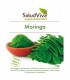 MORINGA en POLVO 125gr. saludviva