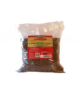 LENTEJA PARDINA 1kg. alcaravan