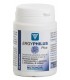 ERGYPHILUS PLUS  nutergia