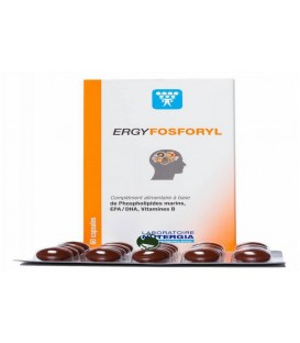 ERGYFOSFORYL 60cp. nutergia