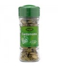 CARDAMOMO BOTE 25gr. artemis