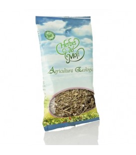 ABEDUL HOJAS BOLSA 30gr. herbes moli